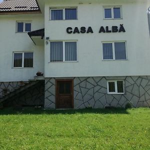 Вилла Casa Alba Фундата Exterior photo