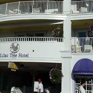 The Lilac Tree Suites & Spa Макино Exterior photo