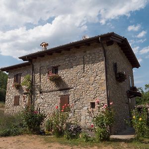 Вилла La Piana Dei Castagni Castel d'Aiano Exterior photo
