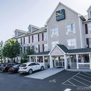 Quality Inn & Suites Cincinnati Шаронвилл Exterior photo