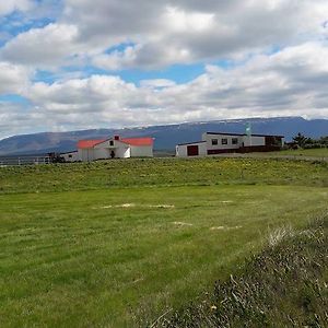 Bed and Breakfast Glaesibaer Reynistadur Exterior photo