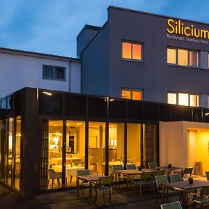 Hotel Silicium Хёр-Гренцхаузен Exterior photo