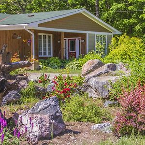 Bear & Butterfly Bed And Breakfast Грейвенхерст Exterior photo