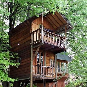 Sycamore Avenue Treehouses & Cottages Accommodation Уинди Exterior photo