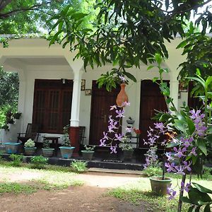 Отель Sigiriya Flower Guest Exterior photo