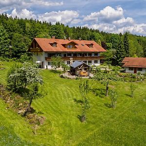 Haus Jagerfleck, Ihre Ferienwohnungen Am Nationalpark Bayerischer Wald Шпигелау Exterior photo