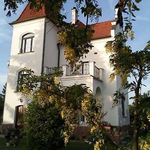 Villa Liduska S Kavarnou Бехине Exterior photo