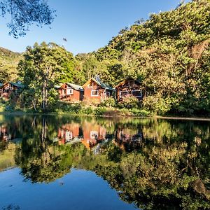 Suenos Del Bosque Lodge Сан-Херардо-де-Дота Exterior photo