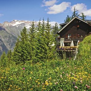 Hotel Chalet Il Capricorno Саузе-д'Ульс Exterior photo