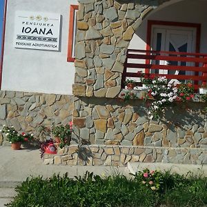 Вилла Pensiunea Agroturistica Ioana Bradulet Exterior photo