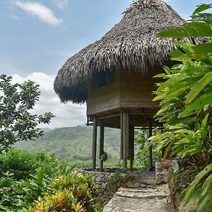 Отель Ecohabs Bosques Del Tayrona Калабасо Exterior photo