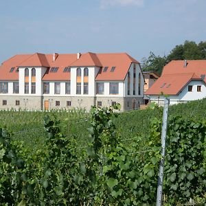 Отель Weingut Taggenbrunn Санкт-Файт-ан-дер-Глан Exterior photo