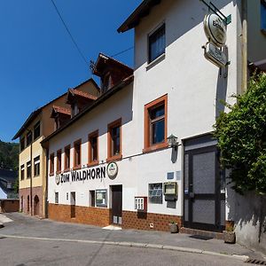 Отель Zum Waldhorn Peterstal Exterior photo