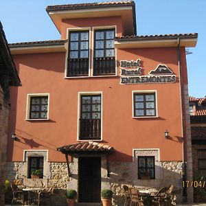 Hotel Rural Entremontes Кангас-де-Онис Exterior photo