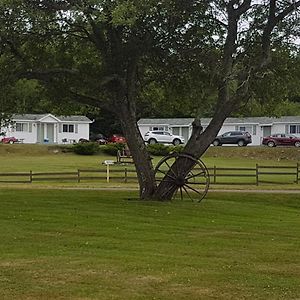 Macneil'S Motel Норт-Сидней Exterior photo