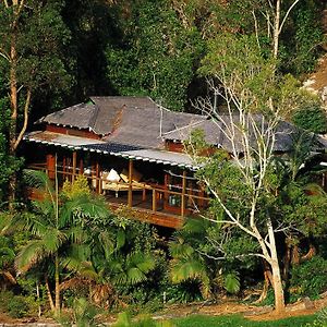 Вилла Wollumbin Palms Rainforest Retreat Uki Exterior photo