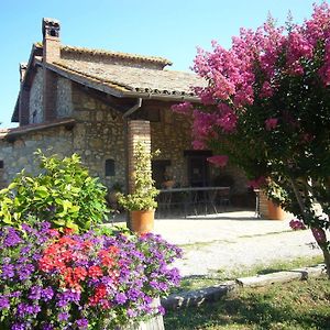 Agriturismo Le Casette Baschi Exterior photo