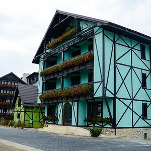 Отель Vila Alsace Podu' Cu Lanturi Бакэу Exterior photo