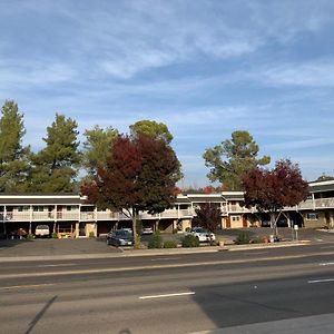 Elmwood Motel Оберн Exterior photo