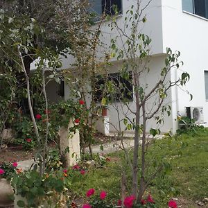 Bed and Breakfast Kibbutz Nachshon Exterior photo