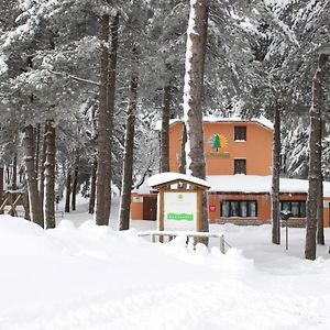 Bed and Breakfast La Pinetina Сан-Массимо Exterior photo