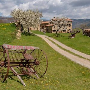 Гостевой дом Can Gallo Льянарс Exterior photo