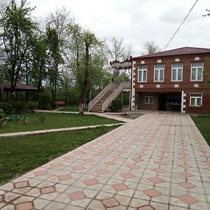 Отель Гостевой дом Данелия Мартвили Exterior photo