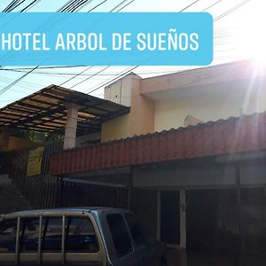 Hotel Arbol De Suenos Сан-Сальвадор Exterior photo