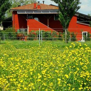 Вилла Agriturismo Adriano Pedretti Badia Polesine Exterior photo