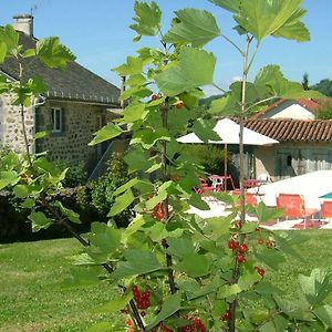 Bed and Breakfast La Maison Pres D'Aurillac Giou-de-Mamou Exterior photo