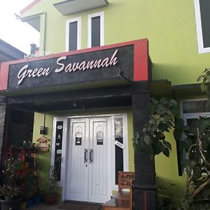 Green Savanah Homestay Syariah Diyeng Exterior photo