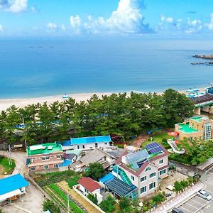 Вилла Samcheok Sol Beach Pension Exterior photo