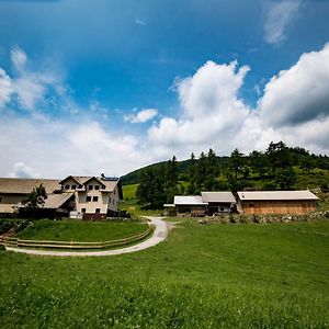 Bed and Breakfast Tourist Farm Pr'Dovar Церклье-на-Гореньскем Exterior photo