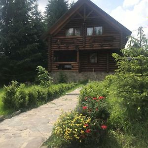Cottage Karinka Буковель Exterior photo