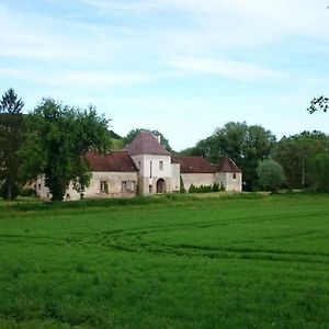 Bed and Breakfast Chateau Des Roises Bucey-en-Othe Exterior photo