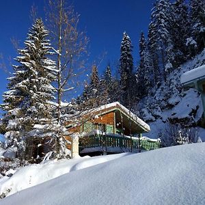 Вилла Chalet Daria Преманон Exterior photo