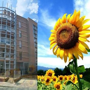 Апартаменты Casa Dei Girasoli Перуджа Exterior photo