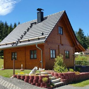 Вилла Ferienhaus Wolfs-Revier Drognitz Exterior photo