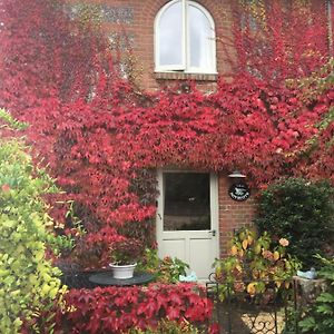 Вилла The Dovecote, Stoke Farthing Courtyard Broad Chalke Exterior photo