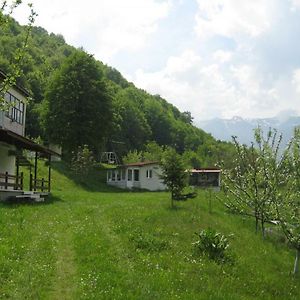 Bungalows Zdravets Берковица Exterior photo