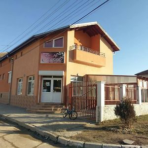 Стаи за гости Елени Широки-Дол Exterior photo