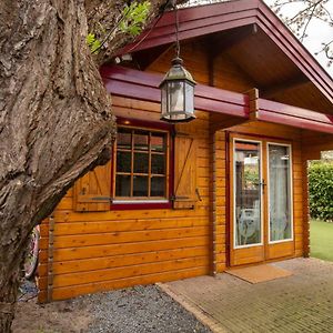 Bed and Breakfast Onder De Kersenboom Хилверсум Exterior photo