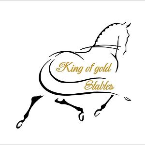 King Of Gold Stables Appartement Met Stalling Voor 5 Paarden Зютендал Exterior photo