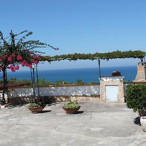 Villa Natura Sea View Вьесте Exterior photo