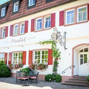 Hotel Mainblick Garni Марктхайденфельд Exterior photo