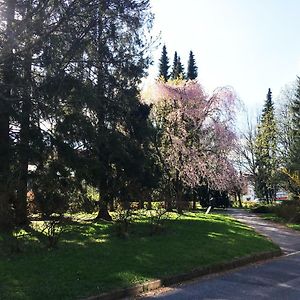 Vintage Apartments Копршивнице Exterior photo