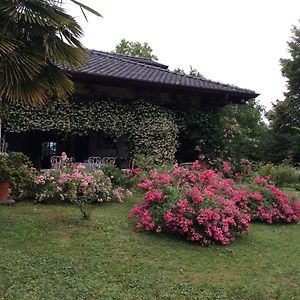 Bed and Breakfast Le Querce Tricesimo Exterior photo