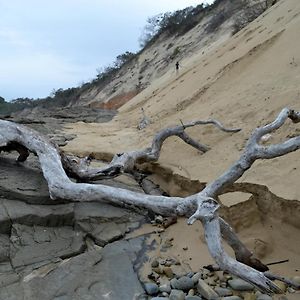 Отель Driftwood Treehouse Sunrise-on-Sea Exterior photo