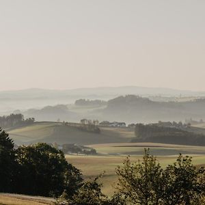 Ferienwohnung Im Muehlviertler Panorama Vierseithof Lembach im Muhlkreis Exterior photo