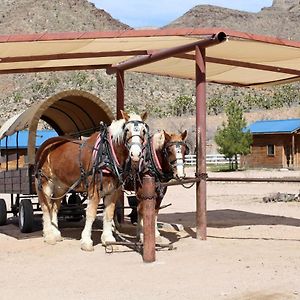 Вилла Grand Canyon Western Ranch Meadview Exterior photo